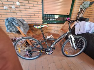 Bicicleta infantil 24 Twin
