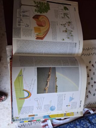 Enciclopedia básica visual