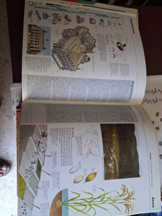 Enciclopedia básica visual