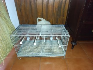 Gabbia doppia per uccelli