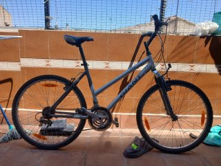 Bicicleta Giant GSR Gris