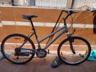 Bicicleta Giant GSR Gris