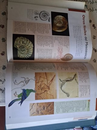 La Enciclopedia del estudiante tomó 10 solo
