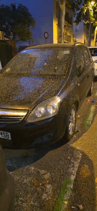 Opel Zafira 2013