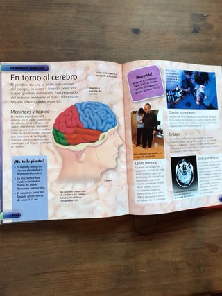 Mi primera enciclopedia sobre el cuerpo humano ...