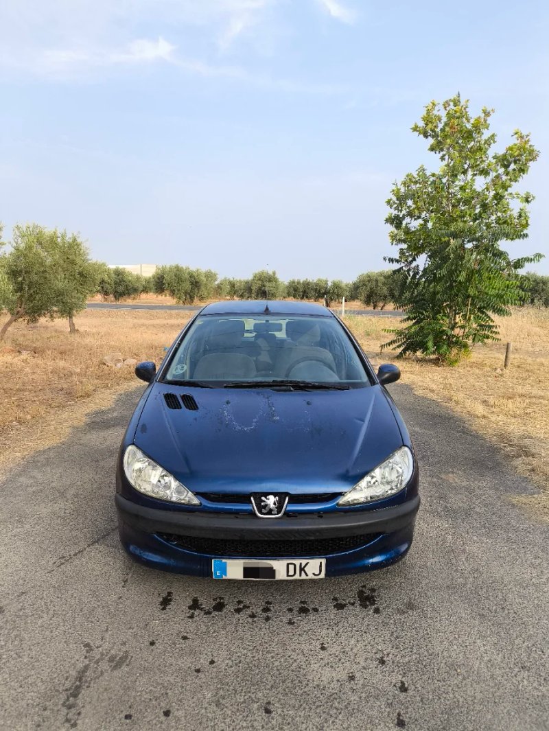 Peugeot 206 2006 - foto 1