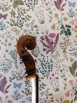 Violín 4/4 M. COUTURIEUX