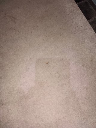 Alfombra gigante beige y negra