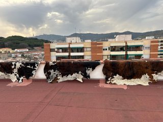 3 Alfombras Piel Vaca Natural grandes. Tamaño xxl