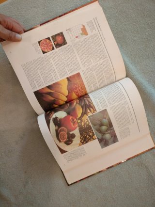 El libro guía de la alimentación natural