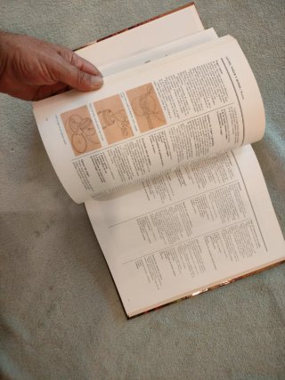 El libro guía de la alimentación natural