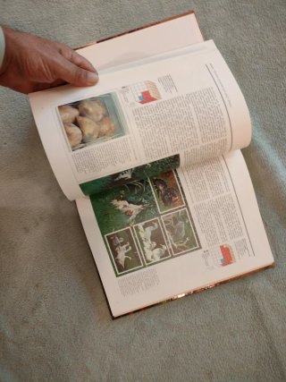 El libro guía de la alimentación natural