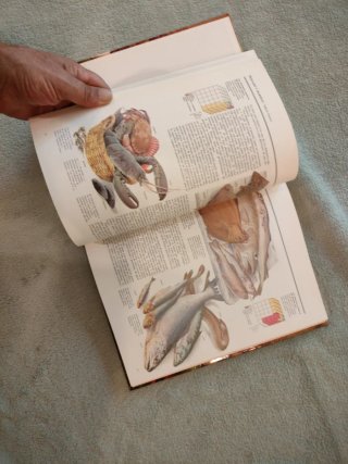 El libro guía de la alimentación natural