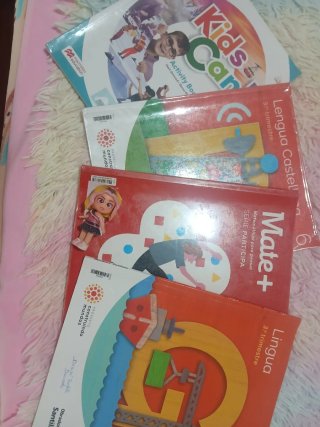 Libros de 6 de Educación Primaria.