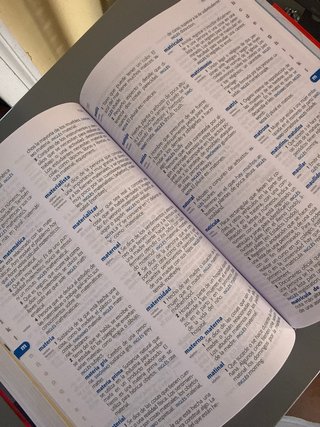 Diccionario Primaria lengua española