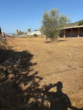 Finca Rústica 3082m2 con Edificación 172m2