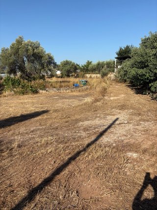 Finca Rústica 3082m2 con Edificación 172m2