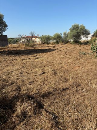 Finca Rústica 3082m2 con Edificación 172m2