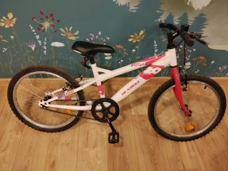 Bicicleta niña 20 pulgadas DENBIKE