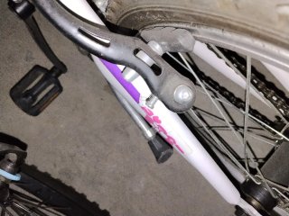 Bicicleta niña 20 pulgadas DENBIKE