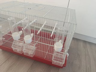Gabbia per uccelli con abbeveratoi