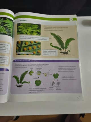BIOLOGIA Y GEOLOGIA ASTURIAS 1 ESO CONSTRUYENDO...