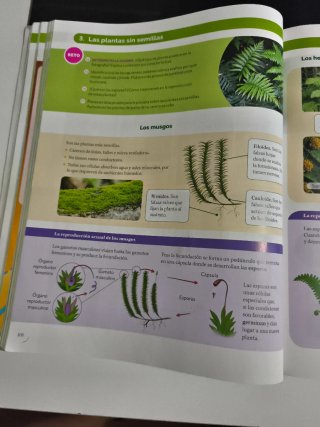BIOLOGIA Y GEOLOGIA ASTURIAS 1 ESO CONSTRUYENDO...