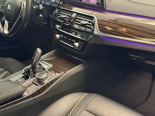 BMW Serie 530d luxury line 265cv 2020