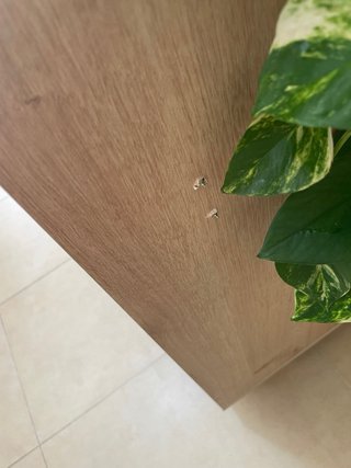 Aparador Roble y Blanco con 1 Cajón y 4 Puertas