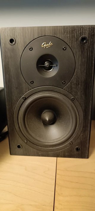 Altavoces Gale Gold Monitor Negros