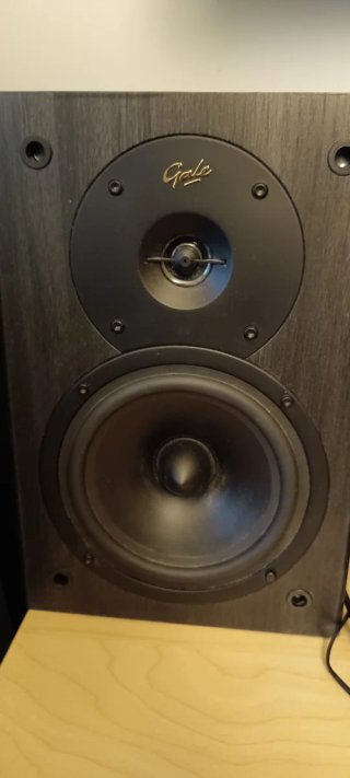 Altavoces Gale Gold Monitor Negros