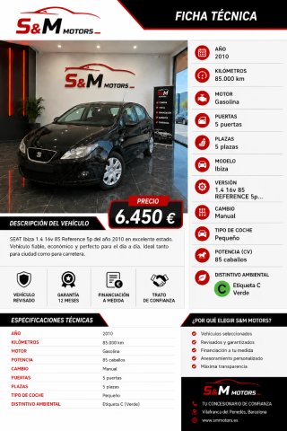 SEAT Ibiza 2010