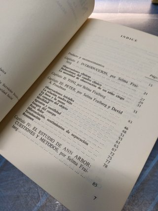 Dos libros Rehabilitación, niños ciegos de selma fraiberg + apuntes sobre pedagogía especial de ciegos
