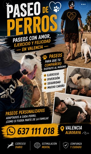 Paseo de perro en Port Saplaya