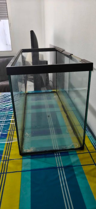 Terrario Grande Transparente