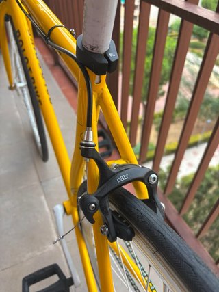 Bicicleta Fixie Polo&Bike Discovery Talla S
