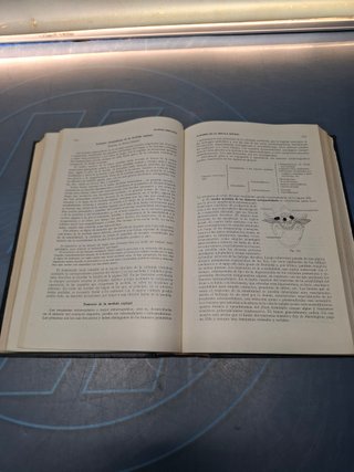 MEDICINA INTERNA COMPENDIO PRACTICO DE PATOLOGIA MEDICA, 1 Tomo