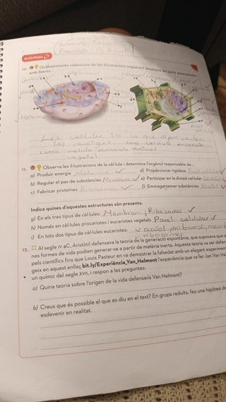 Biología i Geología 1r ESO. Essencial