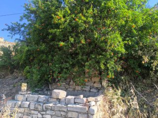 Casa de pueblo con jardín para reformar