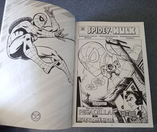 Lote comics