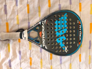 Lote 6 Palas Pádel y 2 fundas