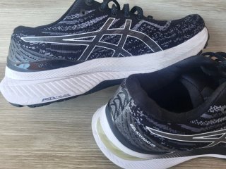 Asics Gel-Kayano 29 Zapatillas Running Mujer