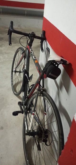 Bicicleta carretera Focus Cayo
