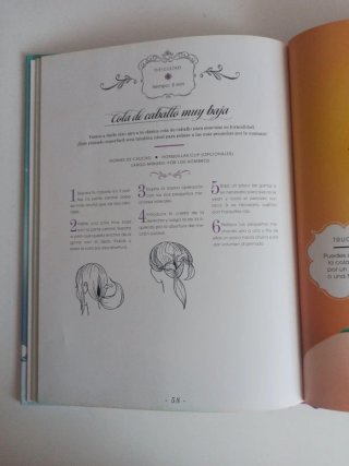 Libro peinados princesas Disney