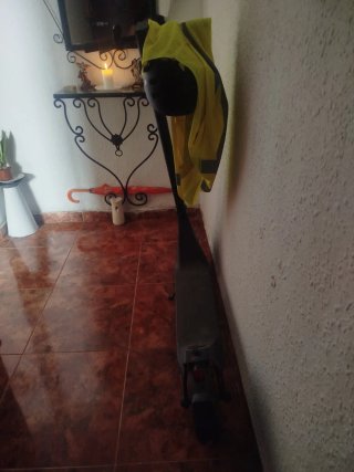 Patinete Eléctrico Negro