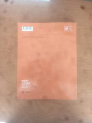 Tecnologia 4 ESO LOMLOE Valenciano/Catalán
