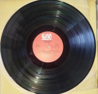 Vinili Classici Mario Lanza ed Enrico Caruso