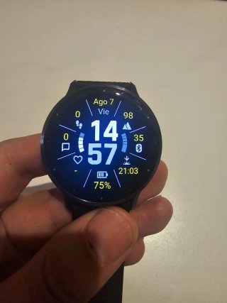 Garmin Venu 3 Negro