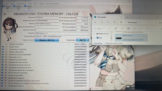 SSD M.2 256GB Kioxia 84% salud
