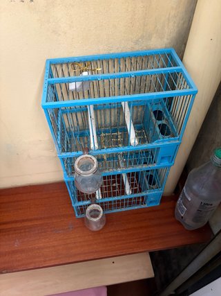 Jaula para pájaros
